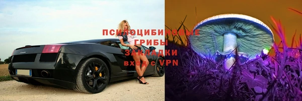 PSILOCYBIN Киреевск