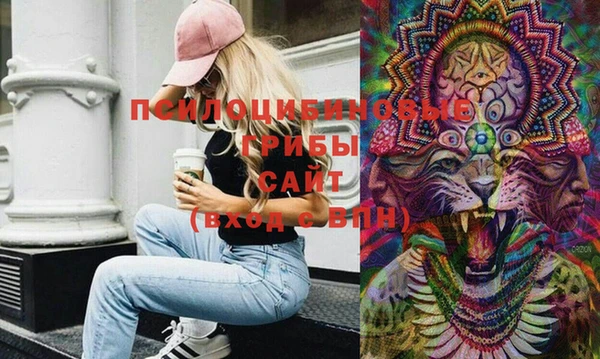 PSILOCYBIN Киреевск