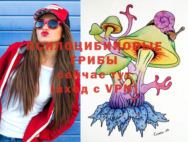 PSILOCYBIN Киреевск