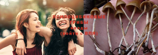 PSILOCYBIN Киреевск